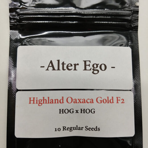 Highland Oaxaca Gold Seeds