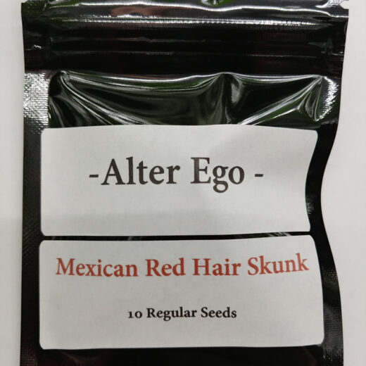 Mexican Red Hair Skunk