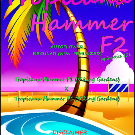 Genetics 101, Tropicana Hammer F2 package logo, palm tree, water, sand, purple and blue letters