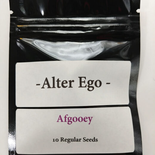 Afgooey (Afghan x Maui Haze)