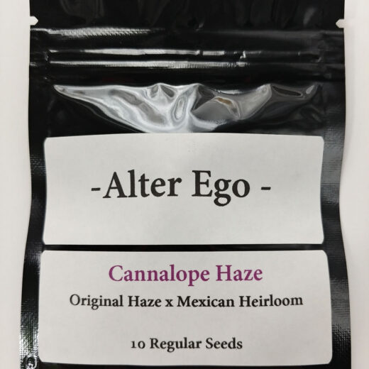 Cannalope Haze Seeds